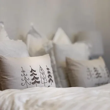 Apartamento Engel Für 4 Gäste 56m2 - Direkt Im Zentrum Schneeberg (Saxony)